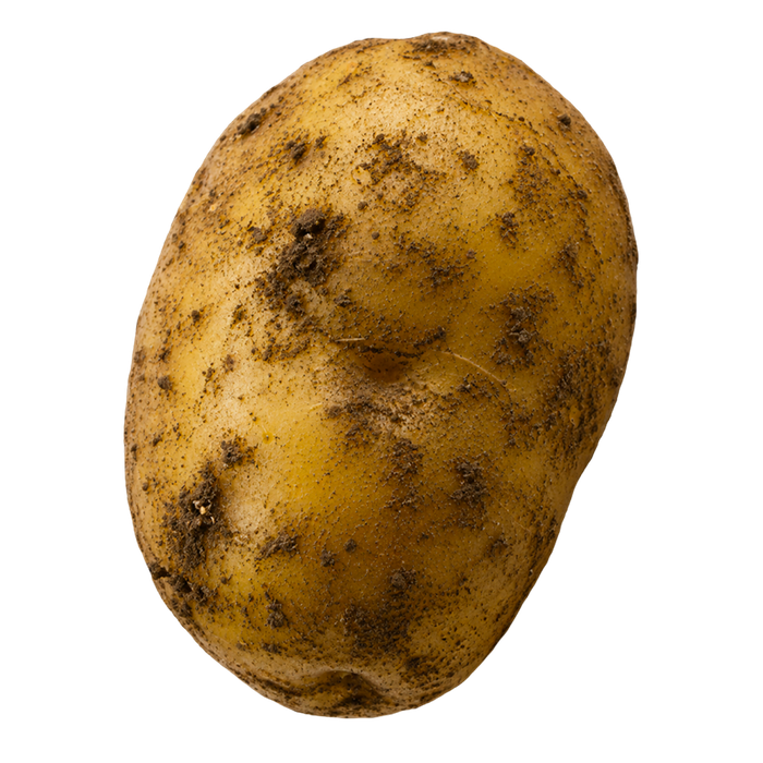 Pomme de terre terreuse